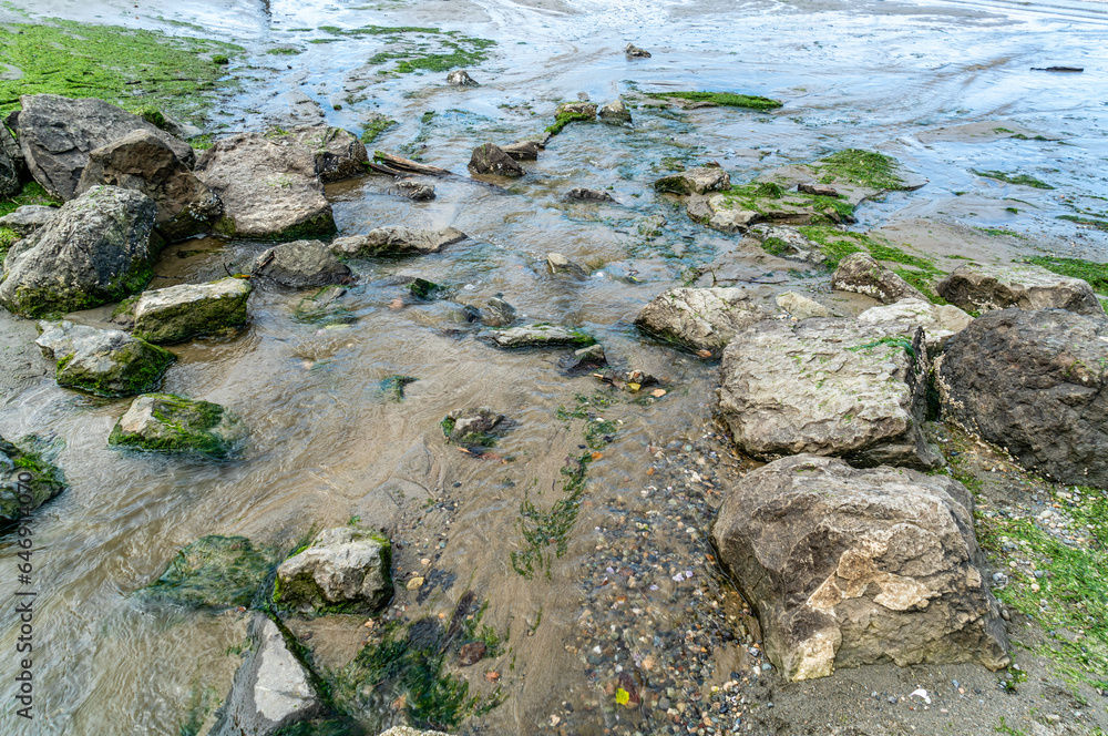 Park Shoreline Rocks