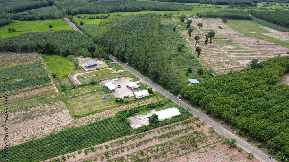 Aerial view of green fields and farmlands in rural Thailand.