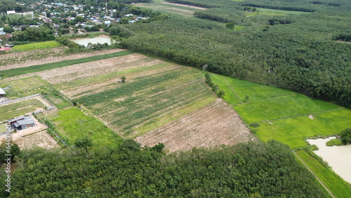 Aerial view of green fields and farmlands in rural Thailand.