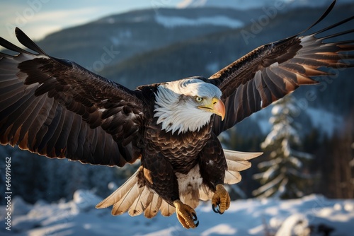 A powerful bald eagle soaring through the sky with wings outstretched.