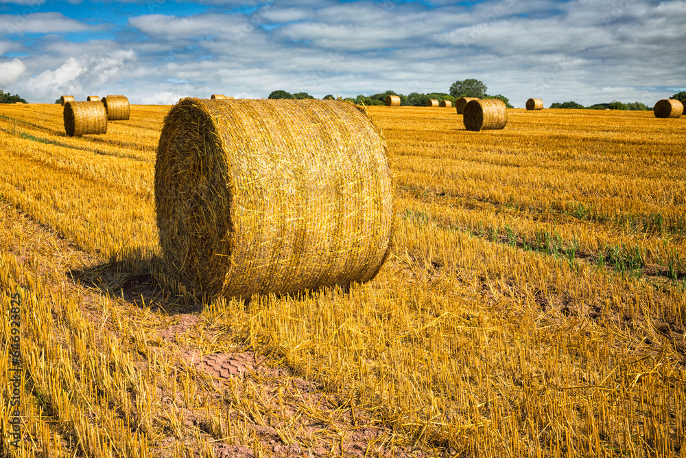 Hay bales on a farm in Wales, UK.