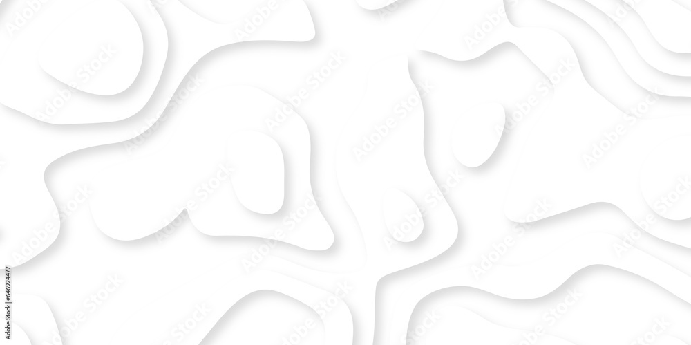 Abstract wavy line 3d paper cut white background. Topographic canyon geometric map relief texture with curved layers and shadow. Abstract white paper cut shapes background with shadow and topography. Abstract wavy line 3d paper cut white background. Topographic canyon geometric map relief texture with curved layers and shadow. Abstract white paper cut shapes background with shadow and topography.