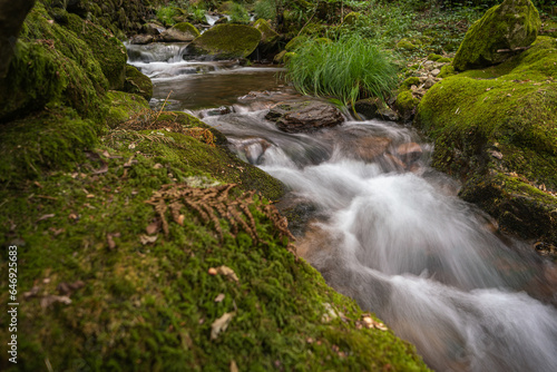 Beautiful water stream in Gresso river Portugal. Long exposure smooth effect. Scenic landscape with beautiful mountain creek with green water among lush foliage in forest. Sever do Vouga