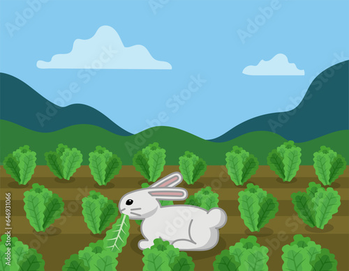 rabbit eating lettuce, funny cartoon style, vector illustration