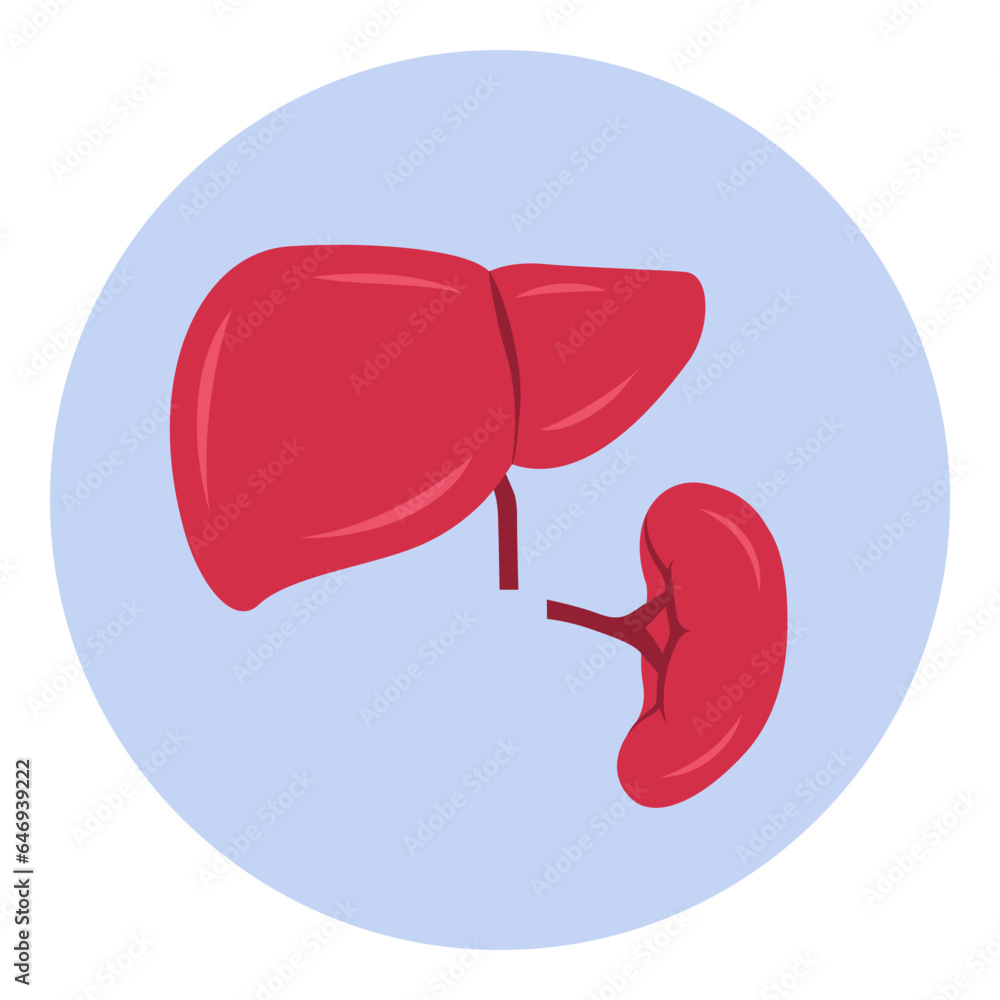 Enlarged liver and spleen icon - obrazy, fototapety, plakaty 