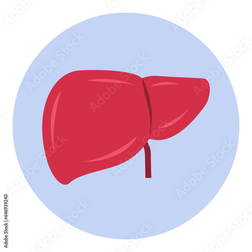 Enlarged liver hepatomegaly medical icon