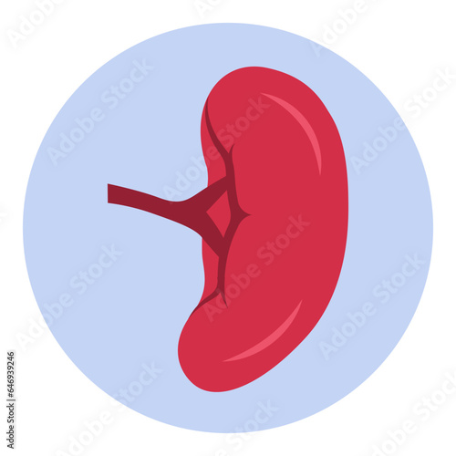 Canvas Print Enlarged spleen splenomegaly medical icon