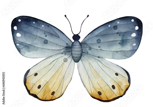 Isolated beautiful blue butterfly, watercolor illustration.