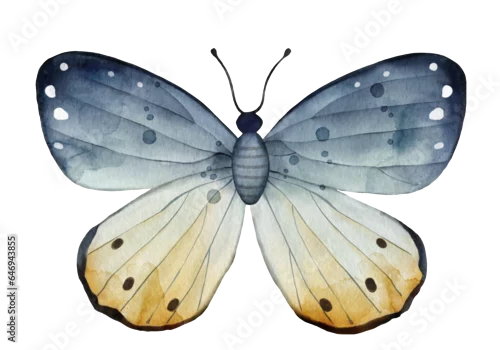 Fototapeta na wymiar Isolated beautiful blue butterfly, watercolor illustration.