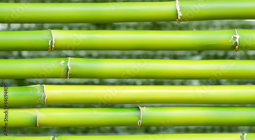 green bamboo sticks on a table in high definition and sharpness