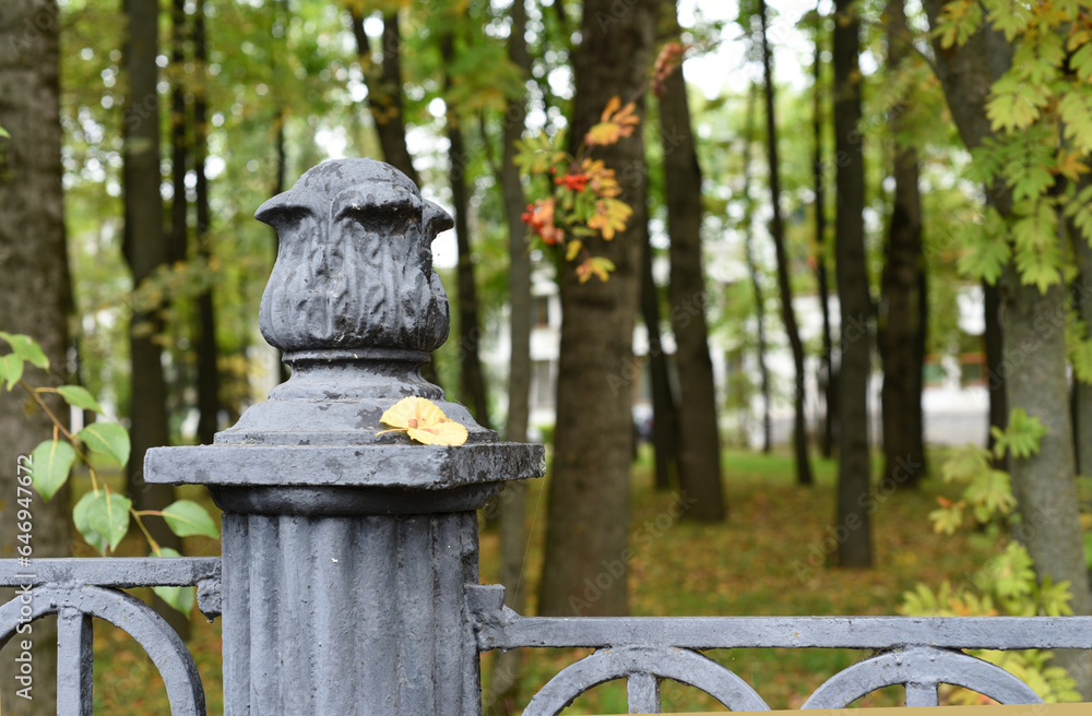 An autumn park is visible behind the cast-iron lattice fence. In the foreground is a bright rowan branch with red berries and yellow leaves. Bokeh. An autumn park is visible behind the cast-iron lattice fence. In the foreground is a bright rowan branch with red berries and yellow leaves. Bokeh.