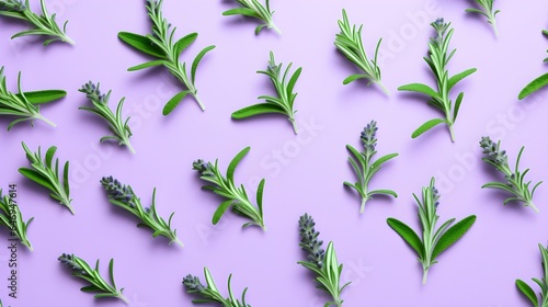 Green aromatic herbs flat lay pattern, pastel purple background.