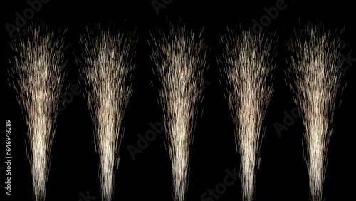 fireworks isolated on transparent background. Celebration, holidays, party decoration, stage performer animated with alpha channel