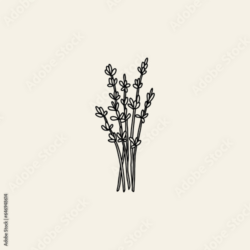 Line art lavender branch illustration