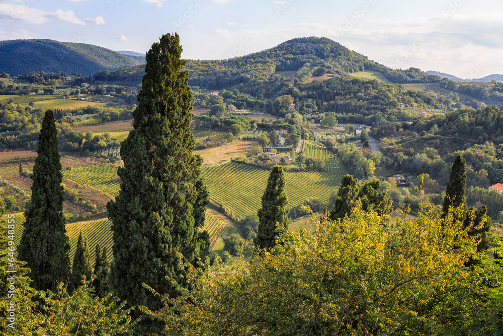 Montepulciano view, Tuscany, Italy.