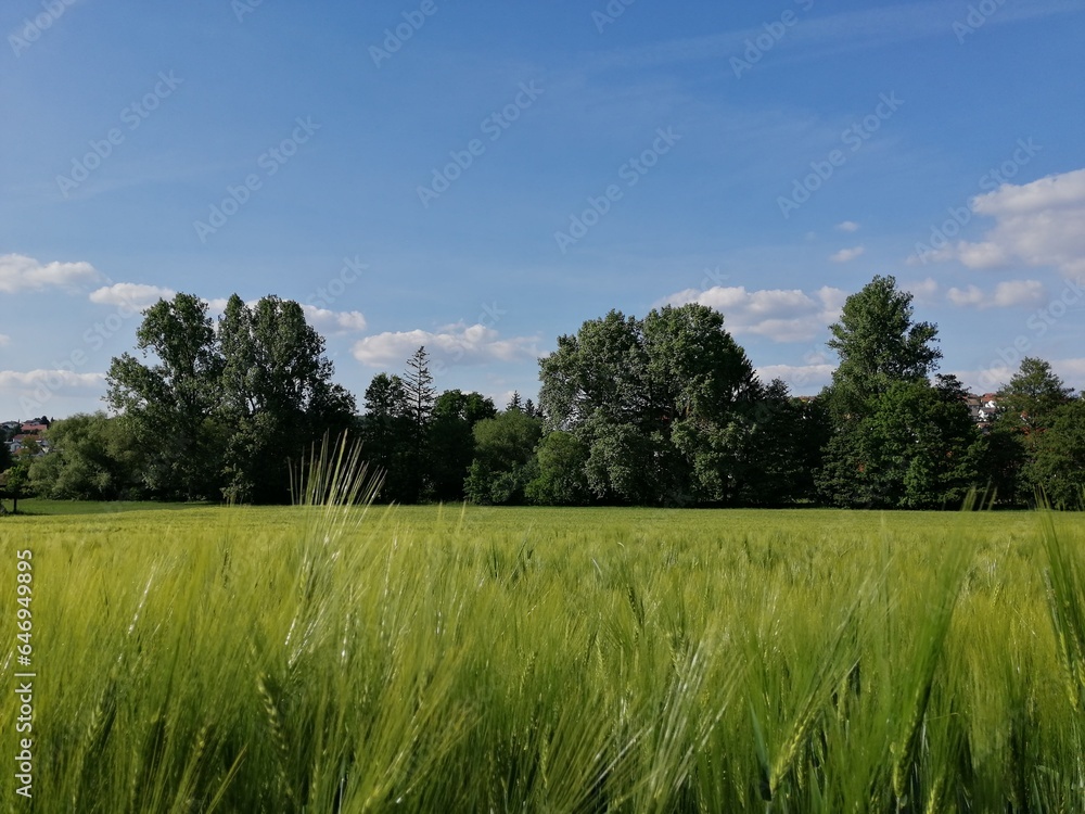 Fototapeta premium Ausruhen bitte