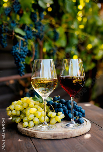 Two glasses with white and red wine on a wooden barrel in the vineyard.