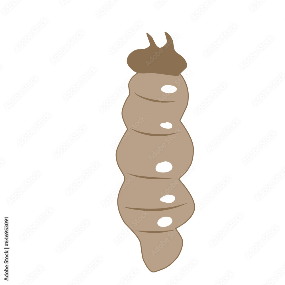 Maggot Larvae Vector Illustration Maggot Larvae Vector Illustration