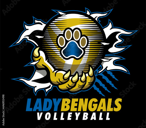 lady bengals volleyball design with claw holding ball and ripping through background for school, college or league sports

