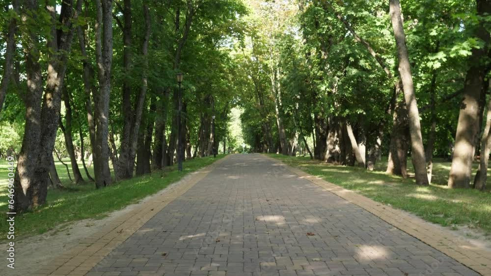 Slow motion on a pedestrian path in a park in summer Slow motion on a pedestrian path in a park in summer