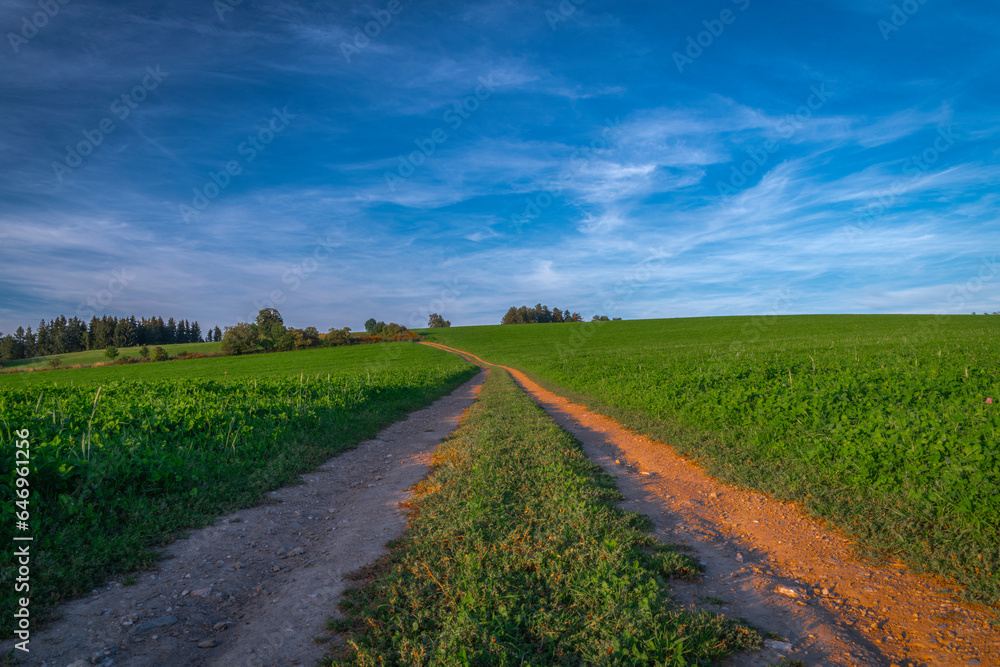 Summer path between green fields near Vysoke nad Jizerou town Summer path between green fields near Vysoke nad Jizerou town