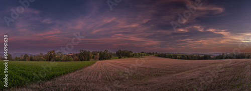 Pink and violet field after harvest and sky after sunset in mountains