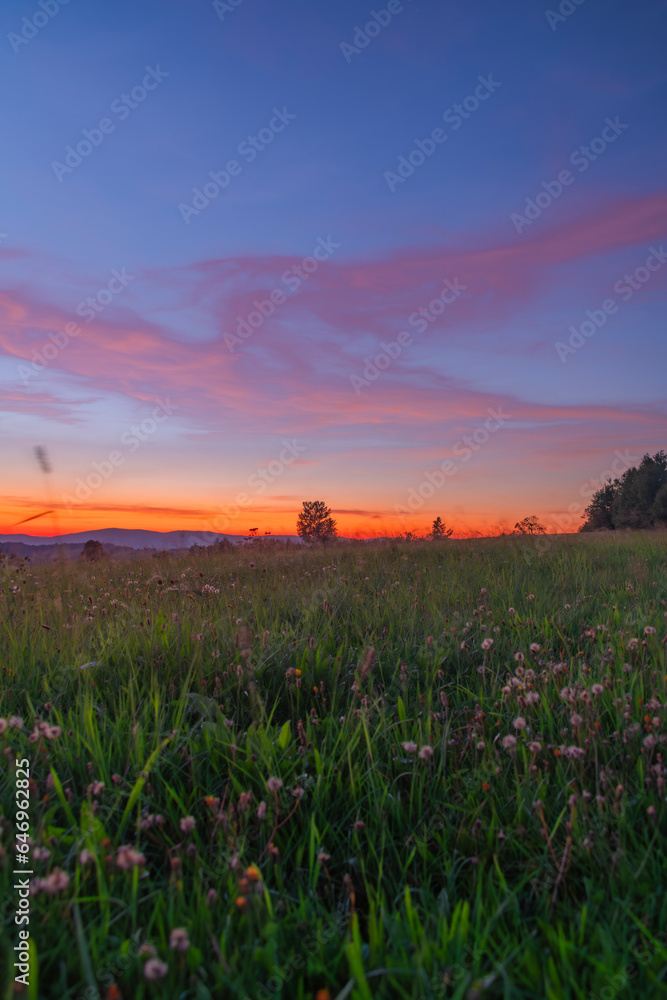 Flower meadow after color beautiful sunset with cloudy sky in Krkonose mountains