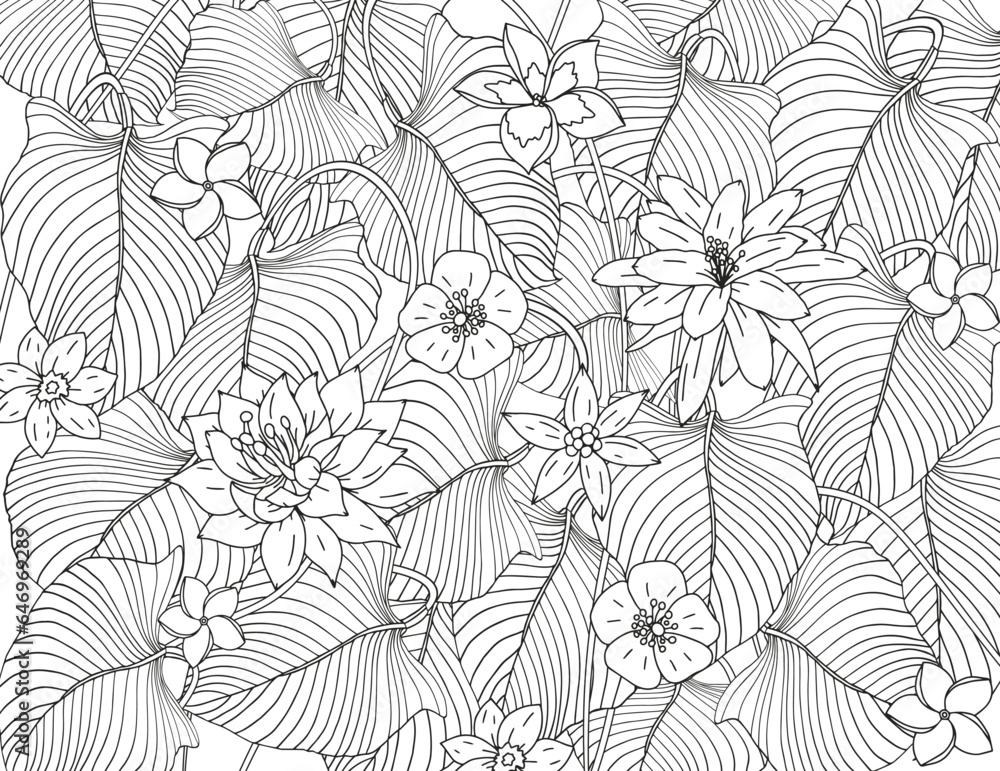 Coloring page made of tropical flowers and leaves. The best activity to relieve stress. Coloring page made of tropical flowers and leaves. The best activity to relieve stress.