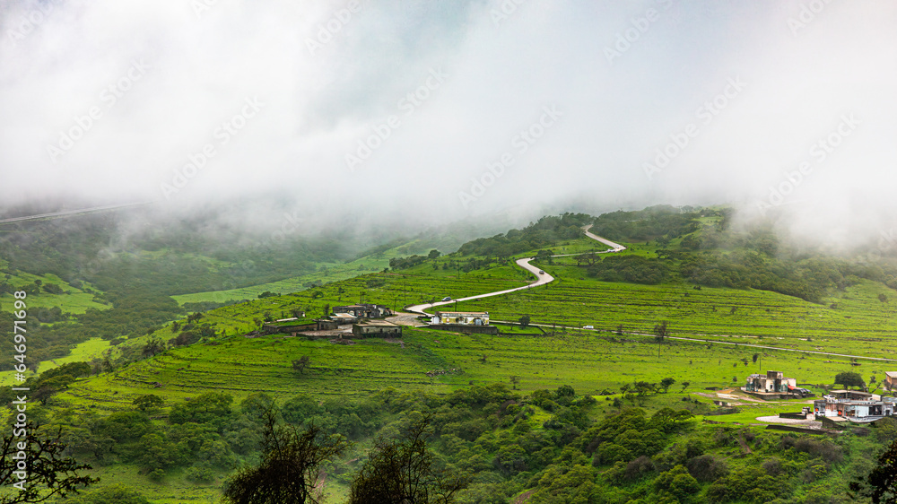Fototapeta premium landscape of salalah , oman during the khareef season.