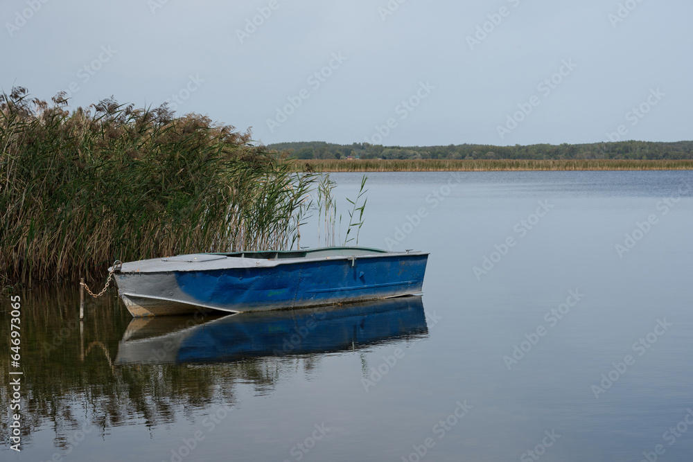 An old colorful boat with shabby beautiful blue paint stands on the shore of a quiet lake with dense thickets of reeds. Peace and harmony of nature, fishing