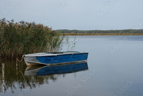 An old colorful boat with shabby beautiful blue paint stands on the shore of a quiet lake with dense thickets of reeds. Peace and harmony of nature  fishing