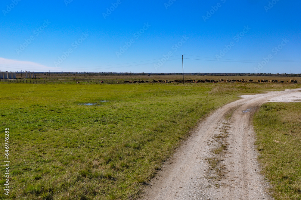 Gravel road leading through a picturesque cattle farm. Gravel road leading through a picturesque cattle farm.