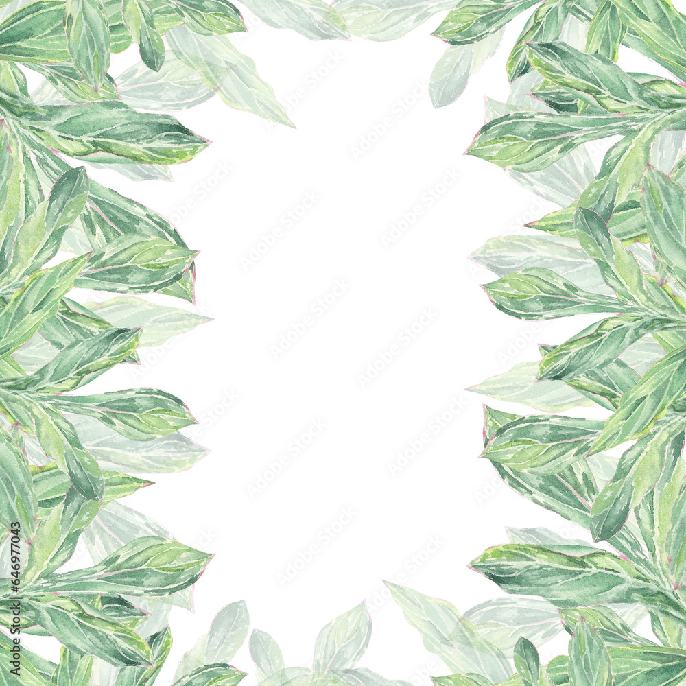 Fototapeta premium Watercolor frame, border pink peonys hand-drawn in botanical style for use in presentation, wedding, holiday and nature design invitation. Daisy flower for decorating cards, gift wrapping, posters