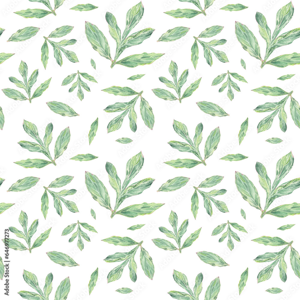 Watercolor seamless pattern peony leaves hand-drawn in botanical style for textile, wedding packaging, holiday and nature design invitation. Daisy greenery for decorating cards, wallpaper, fabric