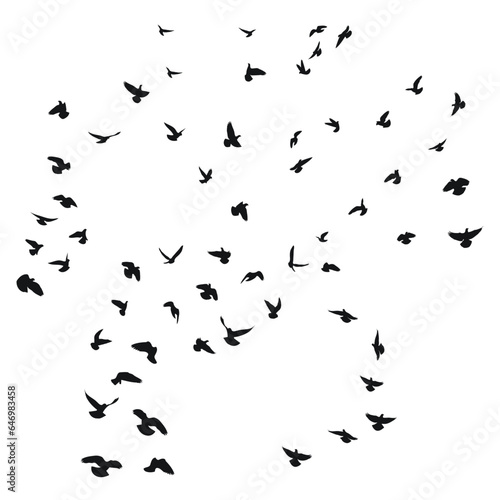 Sketch drawing of a silhouette of a flock of birds flying forward. Takeoff  flying  flight  flutter  hover  soaring  landing