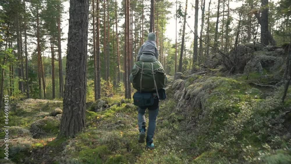 Father with small child hiking outdoors in summer nature. A man and a boy go hiking in forest with a backpack in Finland. Son sitting on his father's shoulders. Back view Father with small child hiking outdoors in summer nature. A man and a boy go hiking in forest with a backpack in Finland. Son sitting on his father's shoulders. Back view