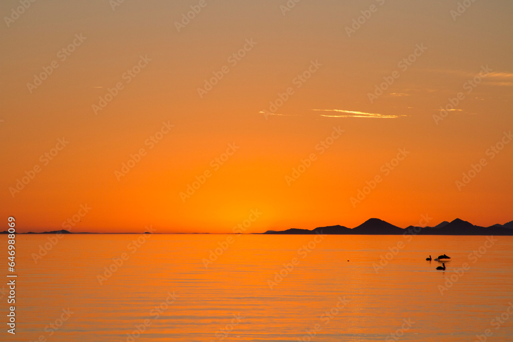 Puesta de sol que pinta el cielo y mar de anaranjado en las playas de Sonora México y pelicanos nadando