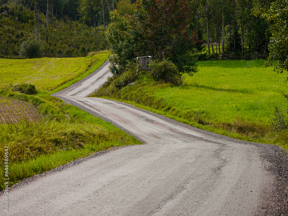 a winding road in the countryside