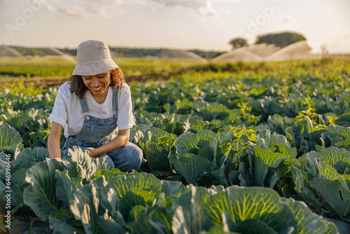 Professional female farmer working at her organic cabbage farm. Harvesting at autumn season