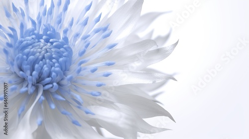 Closeup of beautful blue flower of cornflower. Summer flowers. Floral abstract background. Illustration for banner  poster  cover  brochure or presentation.