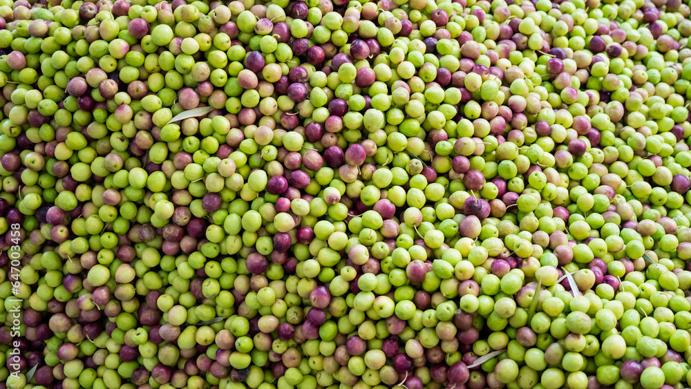 Close-up of green olives on a sawmill in the bazaar. Close-up of green olives on a sawmill in the bazaar.