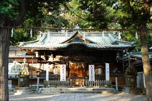 うさぎ、ウサギ、兎、調神社、神社、埼玉県、うさぎ神社、日本、神道、建物、狛うさぎ、彫刻、石像、動物、建物、参拝、初詣、お祈り、詣で、信仰、