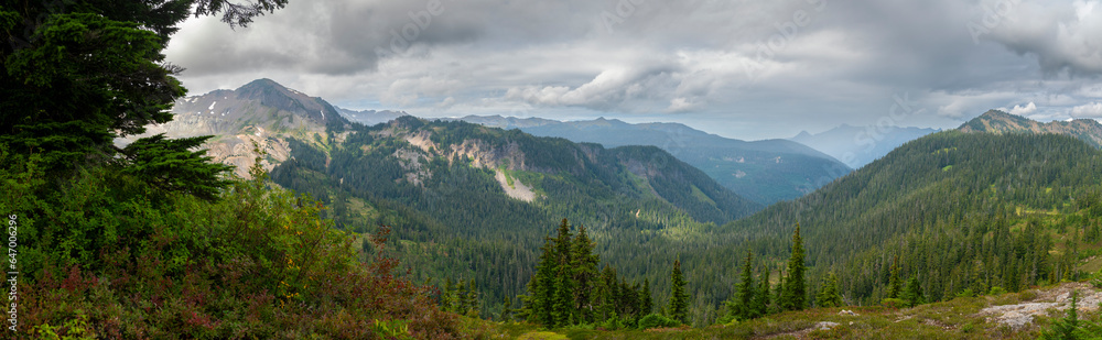 Alpine Wilderness in the Mt. Baker National Forest. Beautiful mountain and forest and valley views along the Ptarmigan Ridge Trail high in the North Cascade mountains of Washington state.