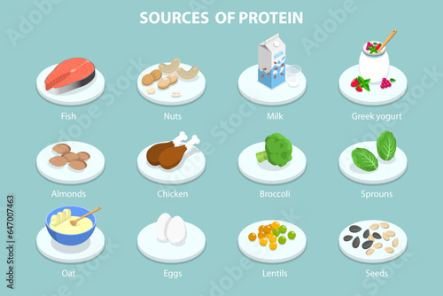 3D Isometric Flat Vector Conceptual Illustration of Sources Of Protein, Healthy Food Guide