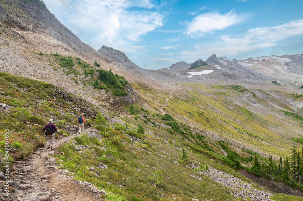 Two Senior Women Hiking a Mountain Trail. The Ptarmigan Ridge Trail in the Mt. Baker National Forest is rocky from start to finish, lined with lupine and sedges, and patches of blueberries.