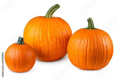 Pumpkin. Pumpkins good for carving a Jack o Lantern on Halloween. Farm autumn October harvest. Pumpkin for Oktoberfest. Happy Thanksgiving day. High resolution photo. White isolated background.