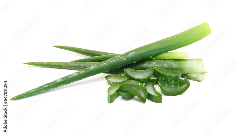 An aged of aloe tree on white background An aged of aloe tree on white background
