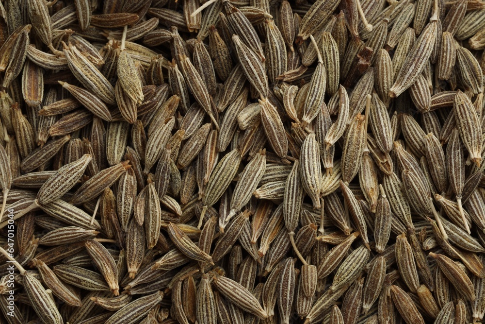 Aromatic caraway seeds as background, top view