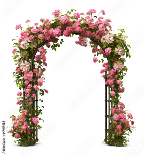 Garden Flower Arch Isolated on Transparent Background
