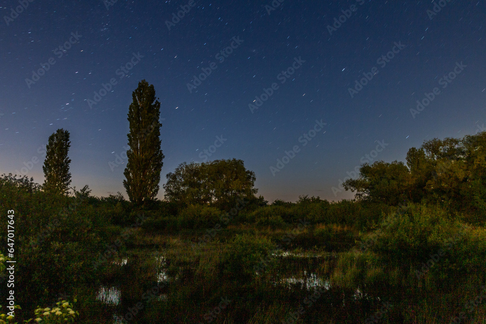 Night view of Zabak marsh near Lysa nad Labem, Czech Republic